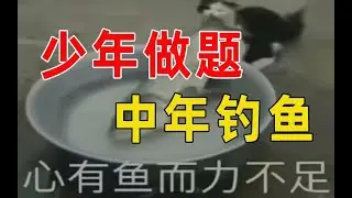 【半佛官方频道】为什么年轻人沉迷钓鱼？money