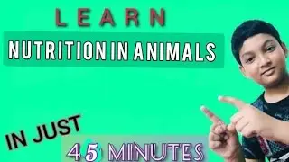 Nutrition in Animals with notes 💥 || Explained in details by Anirudha Das...