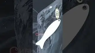 СНАСТЬ ДЛЯ БАЙКАЛА Трофей 38 