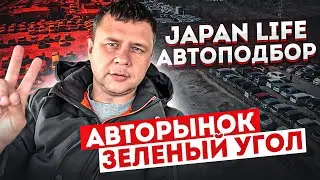 АВТОРЫНОК ЗЕЛЕНЫЙ УГОЛ/ФЕВРАЛЬ 2022/АВТОПОДБОР