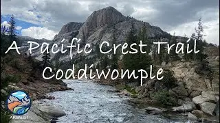 A Pacific Crest Trail Coddiwomple Documentary