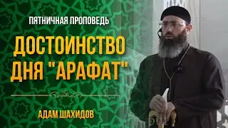ДОСТОИНСТВО ДНЯ 