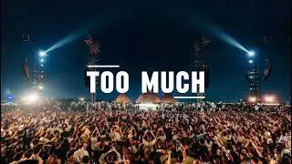 Too Much (RICKS & Osaro Remix)