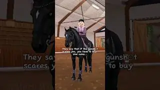 Oh no, I guess I have to buy star coins 🤷‍♀️ || Star Stable Online