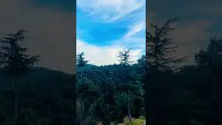 #himachal#krolforest#Solan#trending#mountains