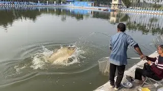পাবনা ঈশ্বরদী'র ২৫,০০০ টাকার বাজি! 🔥 বরশিতে এমন বিশাল কাতল মাছ আগে দেখেননি! | Giant Fish Challenge 