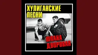 Споём, жиган
