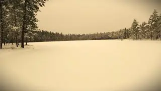 Одиночная рыбалка на озере КИНОР. Ищем окуня на ламбе