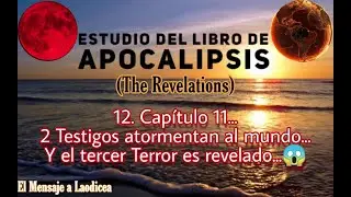 12.ª Enseñanza #apocalipsis | Los 2 Testigos y el Tercer TERROR Son Revelados... | Capítulo 11...