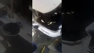 Снятие гура на дафе. 105