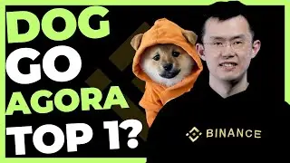 DOG GO TO THE MOON TOP 1