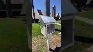 Уличная библиотека в США