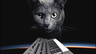 Mix 28 run 😎🎛️