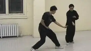 Xing Yi (Xue Dian style) :Teaching Sample