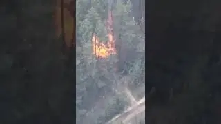 Video : Destruction of Russian armour by Ukrainian forces in eastern Ukraine.