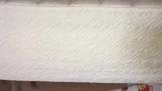 Lucid 14" Plush Memory Foam Mattress