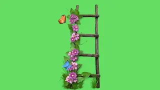 flower green screen no copyright | flower green screen status | green screen butterfly effect