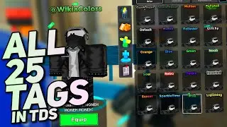 ALL 25 NAMETAG SHOWCASE in TOWER DEFENSE SIMULATOR