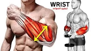 9 PERFECT EXERCISES FOREARM WORKOUT 🎯