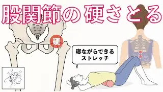 【股関節硬い】意外な原因と寝ながらできるストレッチ