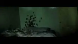 cucarachas en mi habitacion