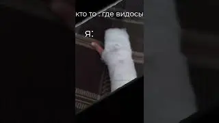 пон