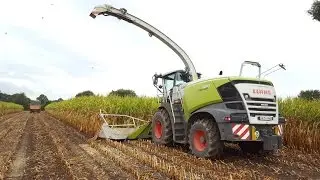 NEW CLAAS JAGUAR 900 2018 typ 498