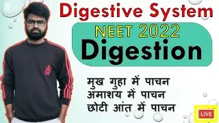 NEET 2022 | Digestion & Absorption | पाचन की क्रिया विधि |
