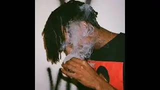 Playboi Carti 