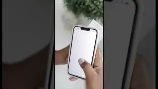 Temu Apple Watch Dupe