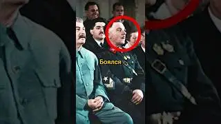 Кого боялся Сталин? 