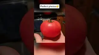 Perfect satisfying photos…😴 #satisfying