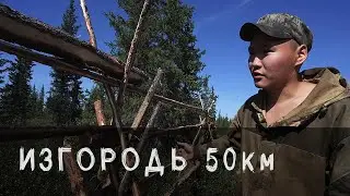Строим ИЗГОРОДЬ общей длиной 50 км.