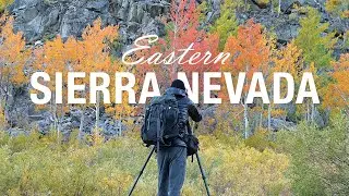 Autumn Landscape Photography in the Eastern Sierra