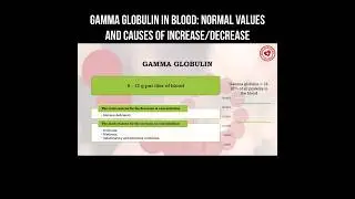 Gamma-globulin in blood: normal values and causes of increase/decrease #globulin #bloodtest #blood