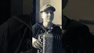 Северная Пальмира - Ева Власова 