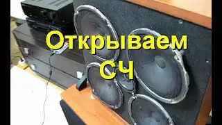 Свободу СЧ динамикам