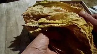 Юбилейный новый 142, нежный лёгкий и бледный.