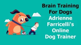 How To Stop Dogs From Chewing - CPDT-KA Certified Dog Trainer