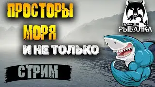 ▶ ПРОСТОРЫ МОРЯ И НЕ ТОЛЬКО | РУССКАЯ РЫБАЛКА 4 | СТРИМ ▶