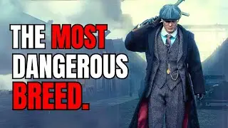 Ways Sigma Male Shows that He's Dangerous
