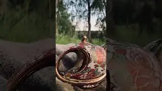 Наслаждайся сейчас