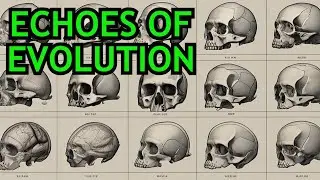 Evolution's Echoes: Top 10 Lost Body Parts