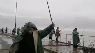 Абхазия,Старая Гагра . Рыбалка на пристани.Кефаль(чуларка)