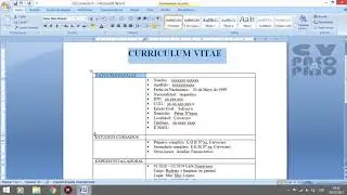 Curriculum Vitae Paso a Paso #5 + Nuevo Formato