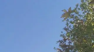 Hacı Bayramda Ezan