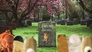 Rip Cheems...
