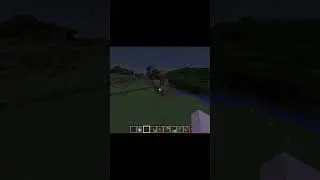STUPIDIEST VILLAGER EVER !!!