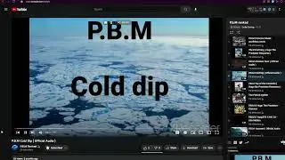 Every P.B.M Revived Track Reviewed