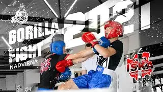 GORILLA FIGHT / NADVIRNA 2021
